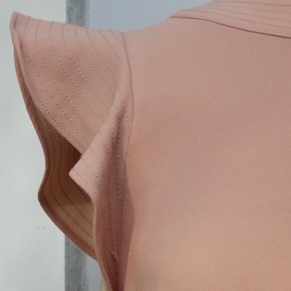 Ann Taylor Blush Knit Flutter Cap Sleeve Seamed Knit Crepe Sheath Dress Sz 6 - Picture 3 of 9